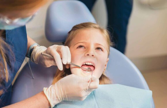 Endodoncia Endodoncia