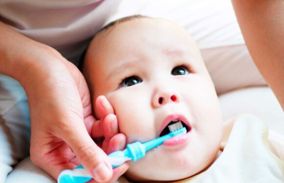 ODONTOLOGÍA PARA EL BEBÉ ODONTOLOGÍA PARA EL BEBÉ